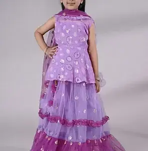 Embroidered Net Lehenga in Purple
